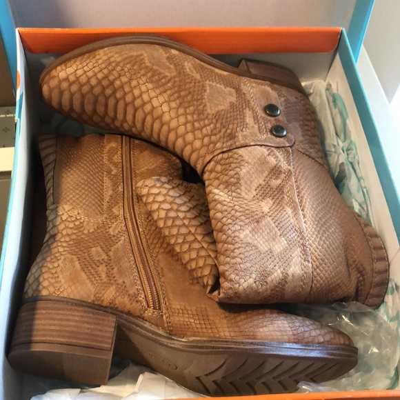 ❌SOLD OUT❌ NIB [Baretraps] Madelyn Brown Snake Print Knee-High Boots Womens - Picture 7 of 7